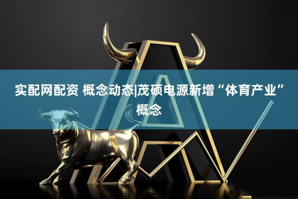 实配网配资 概念动态|茂硕电源新增“体育产业”概念