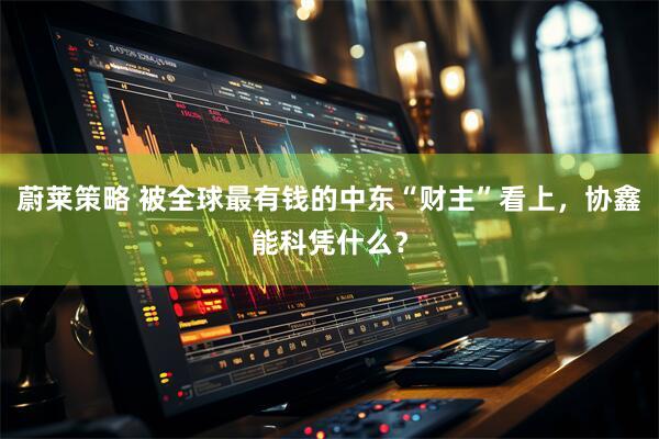 蔚莱策略 被全球最有钱的中东“财主”看上，协鑫能科凭什么？