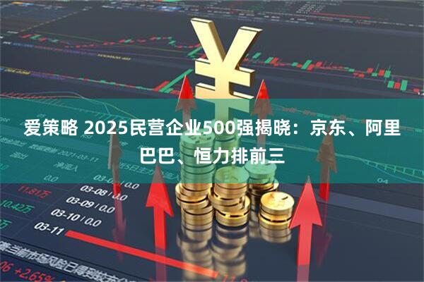 爱策略 2025民营企业500强揭晓：京东、阿里巴巴、恒力排前三