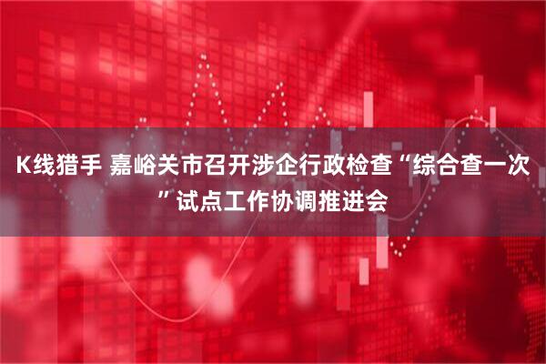K线猎手 嘉峪关市召开涉企行政检查“综合查一次”试点工作协调推进会