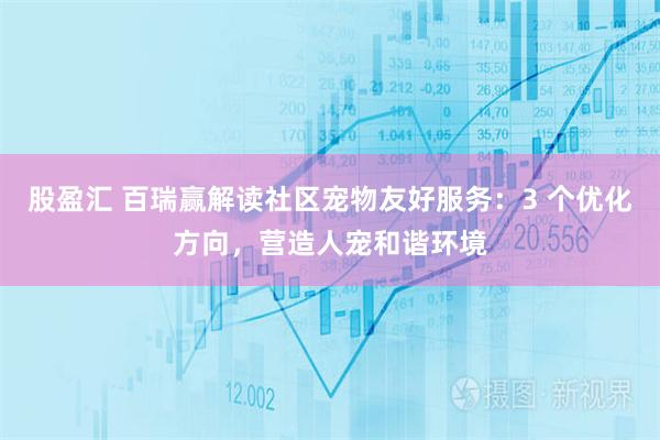 股盈汇 百瑞赢解读社区宠物友好服务：3 个优化方向，营造人宠和谐环境