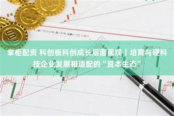 掌柜配资 科创板科创成长层面面观｜培育与硬科技企业发展相适配的“资本生态”