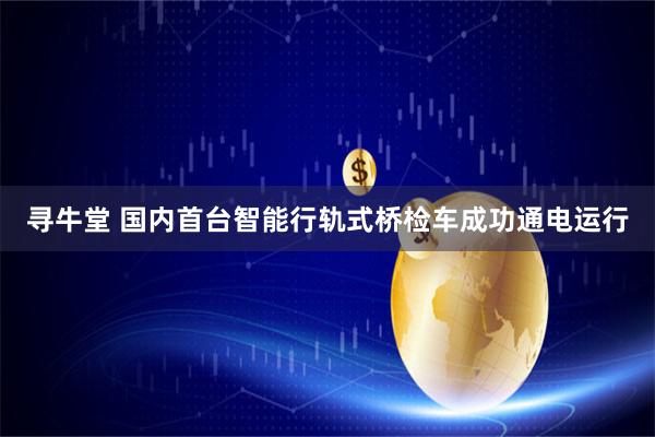 寻牛堂 国内首台智能行轨式桥检车成功通电运行