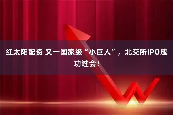 红太阳配资 又一国家级“小巨人”，北交所IPO成功过会！