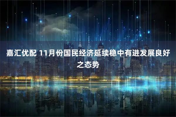 嘉汇优配 11月份国民经济延续稳中有进发展良好之态势